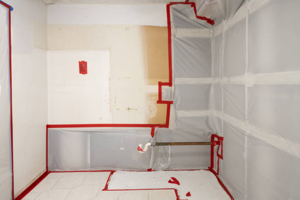 Buffalo, MN Mold Removal Company